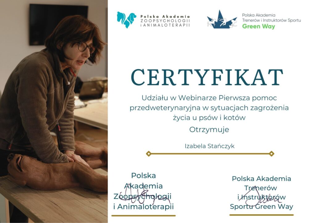 Certyfikat udziału w webinarze z pierwszej pomocy przedweterynaryjnej w sytuacjach zagrożenia życia u psów i kotów. PAZiA, Polska Akademia Trenerów i Instruktorów Sportu Green Way.