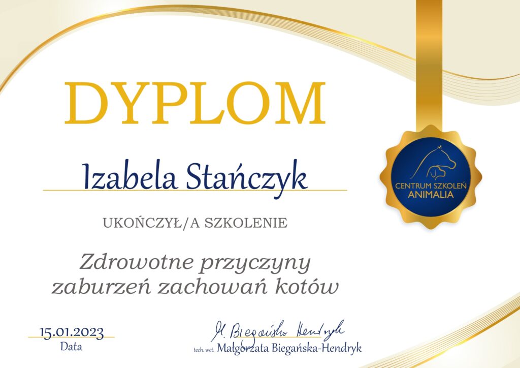 Dyplom ukończenia szkolenia ze zdrowotnych przyczyn zaburzeń zachowań kotów. Centrum szkoleń Animalia.