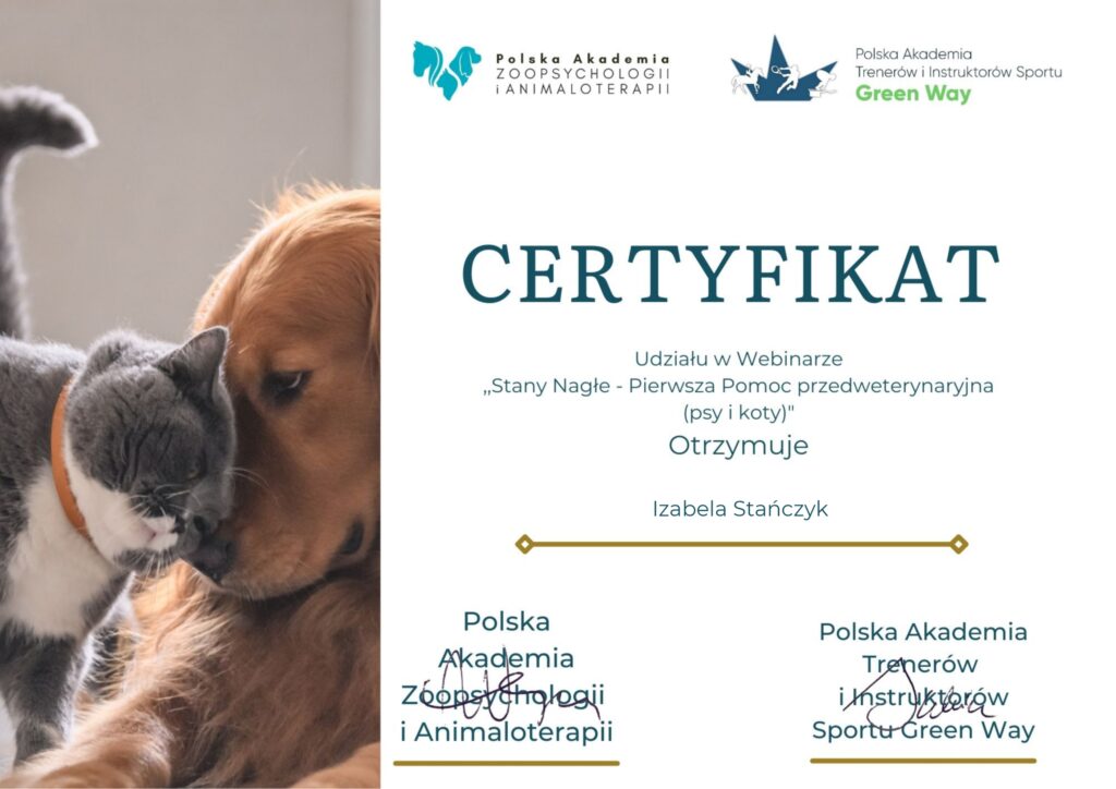 Certyfikat potwierdzający udział w webinarze pt. "Stany Nagłe - Pierwsza Pomoc przedweterynaryjna (psy i koty)" organizowanego przez Polską Akademię Zoopsychologii i Animaloterapii oraz Polską Akademię Trenerów i Instruktorów Sportu Green Way.