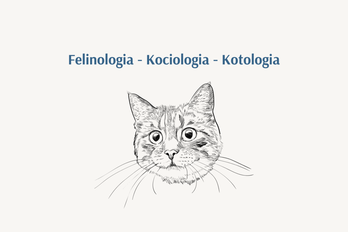 Obrazek przedstawiający 3 słowa dotyczące nauki o kotach: felinologia, kociologia, kotologia. Na obrazku jest szkic głowy kota.