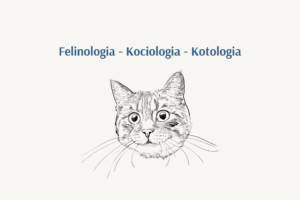 Obrazek przedstawiający 3 słowa dotyczące nauki o kotach: felinologia, kociologia, kotologia. Na obrazku jest szkic głowy kota.