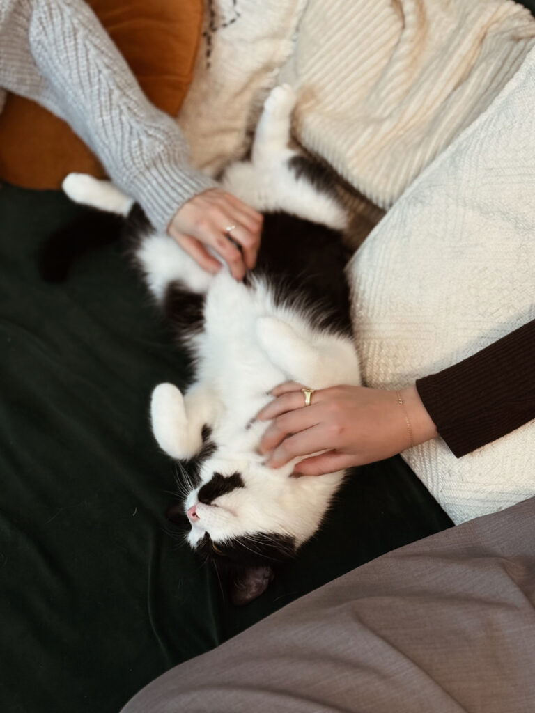 Dwie kobiety głaskaja kota w czasie felinoterapii w Krakowie