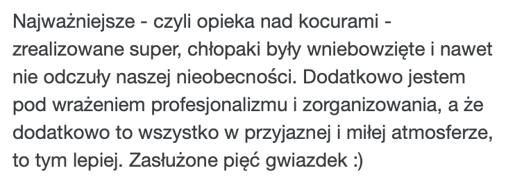 Opinia o opiece nad kocurami – bezstresowy wyjazd i profesjonalizm PsychoKocio