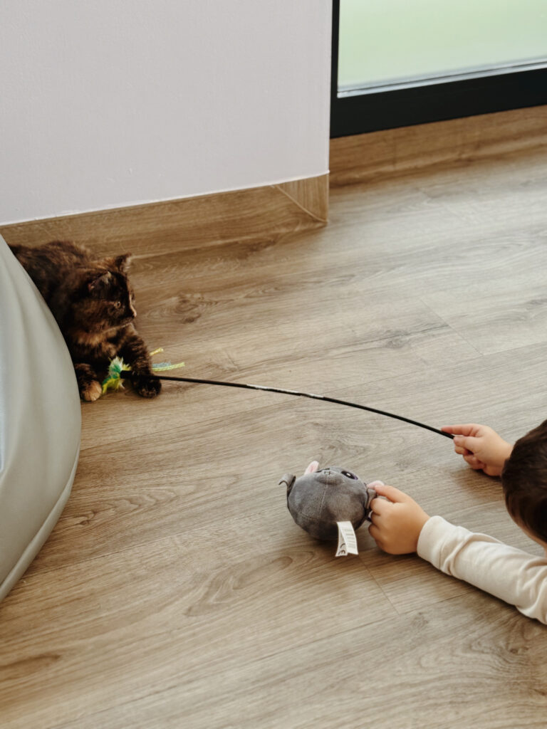 felinoterapia w zlobku felinoterapia w zlobku